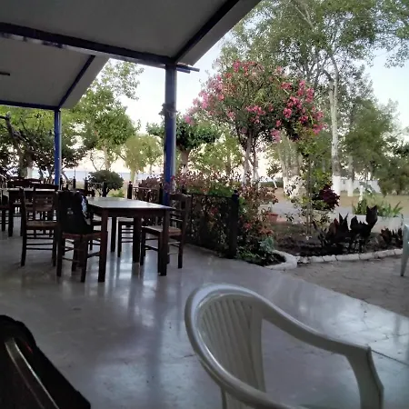 Campsite κάμπινγκ βερδελής Epidaurus